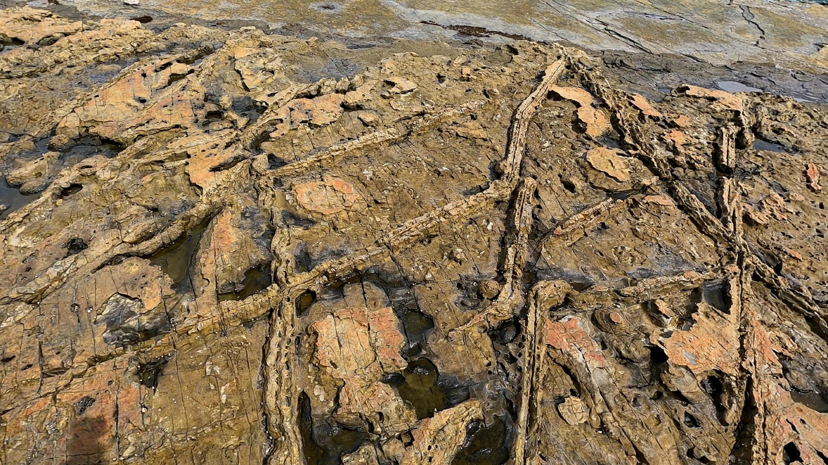 구학포 공룡발자국 화석산지 3