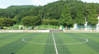 하이체육공원 잔디