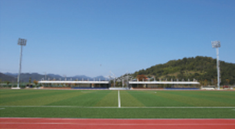 동고성체육공원 잔디