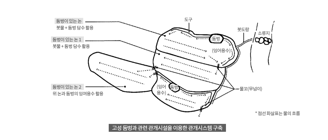고성 둠벙과 관련 관계시설을 이용한 관개시스템 구축