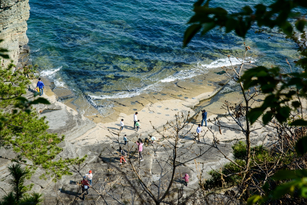 고성 덕명리 공룡과 새발자국 화석산지 9