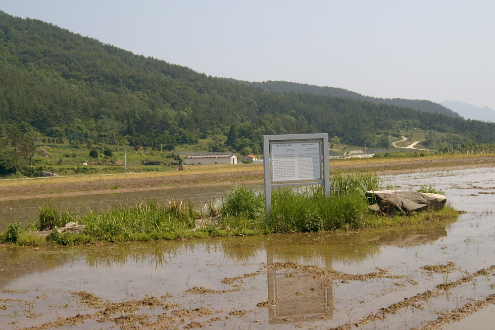 오방리 지석묘 1