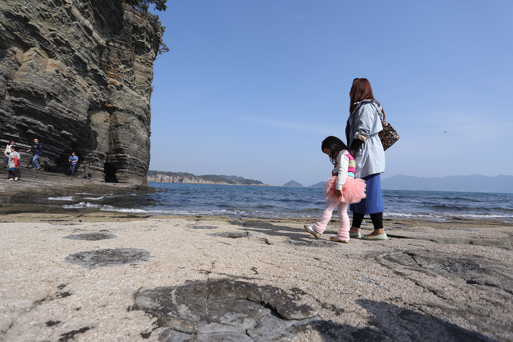 고성 덕명리 공룡과 새발자국 화석산지 3