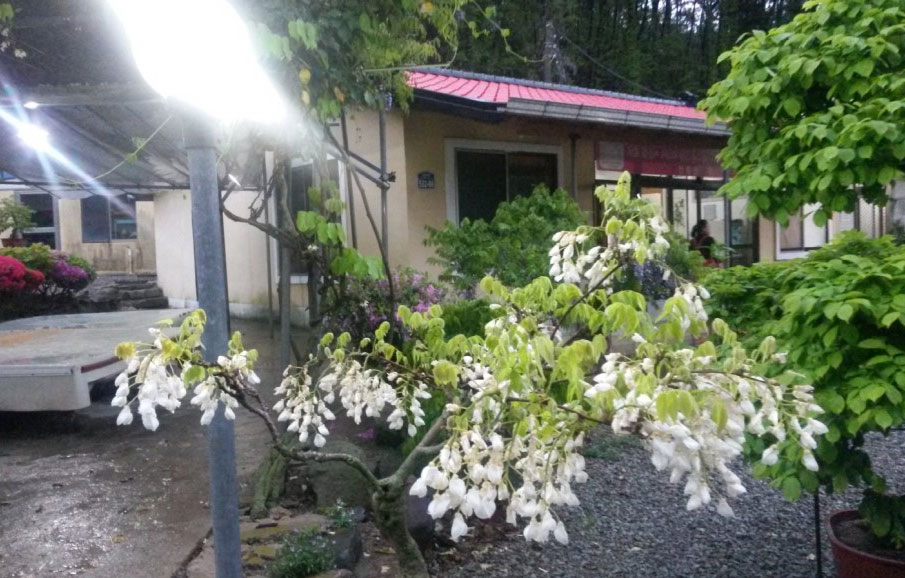 천왕산가든 5