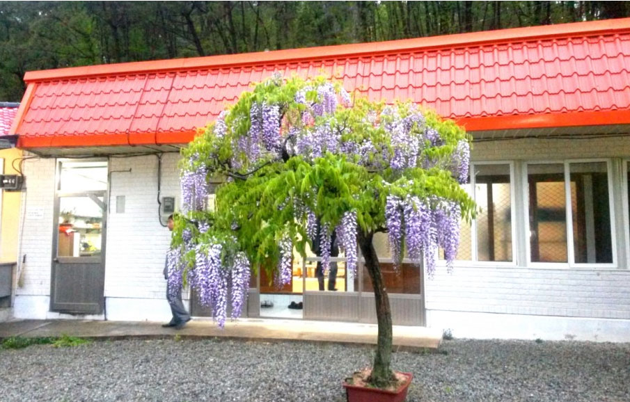 천왕산가든 2