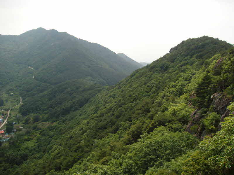 구절산 9