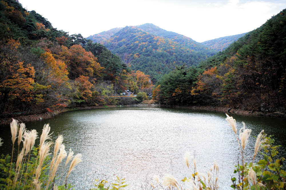 연화산도립공원 관련자료