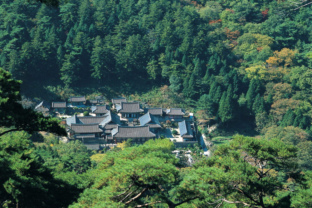 연화산도립공원 2