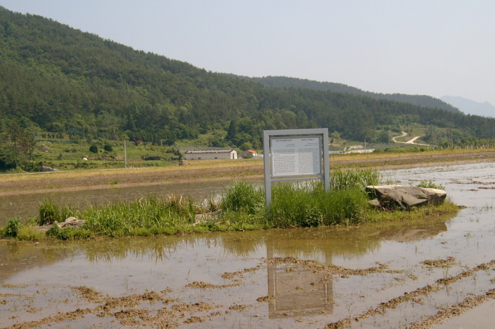 오방리 지석묘 2