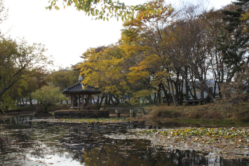 장산숲 7
