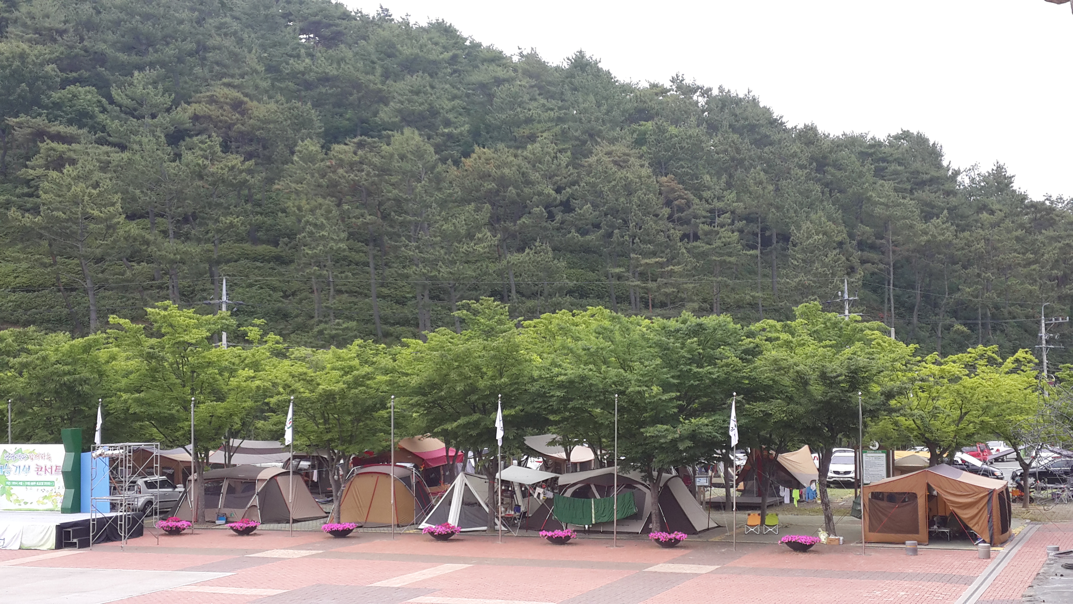 당항포관광지 오토캠핑장 6