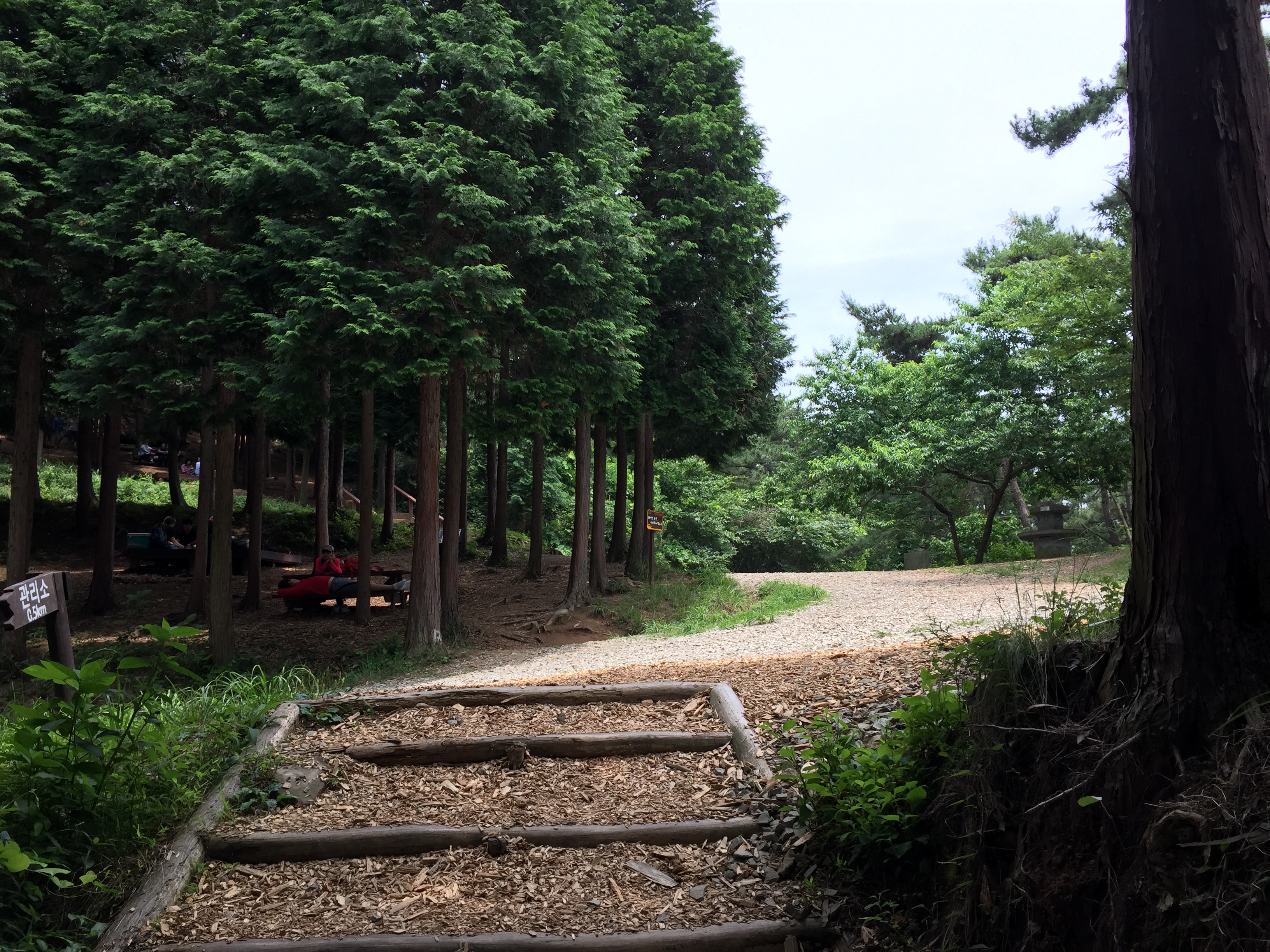 갈모봉산림욕장 관련자료