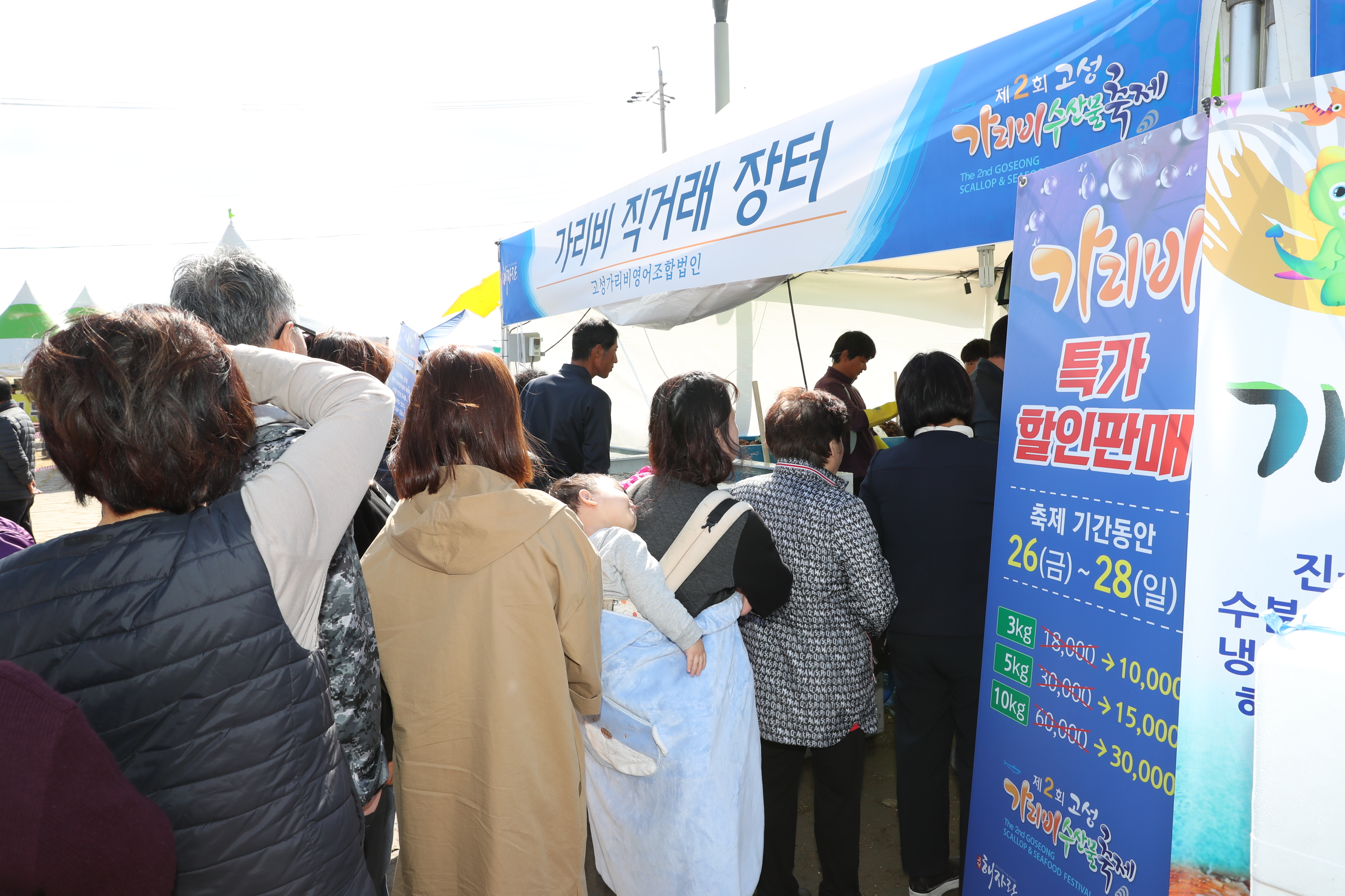 고성 가리비 수산물 축제 관련자료