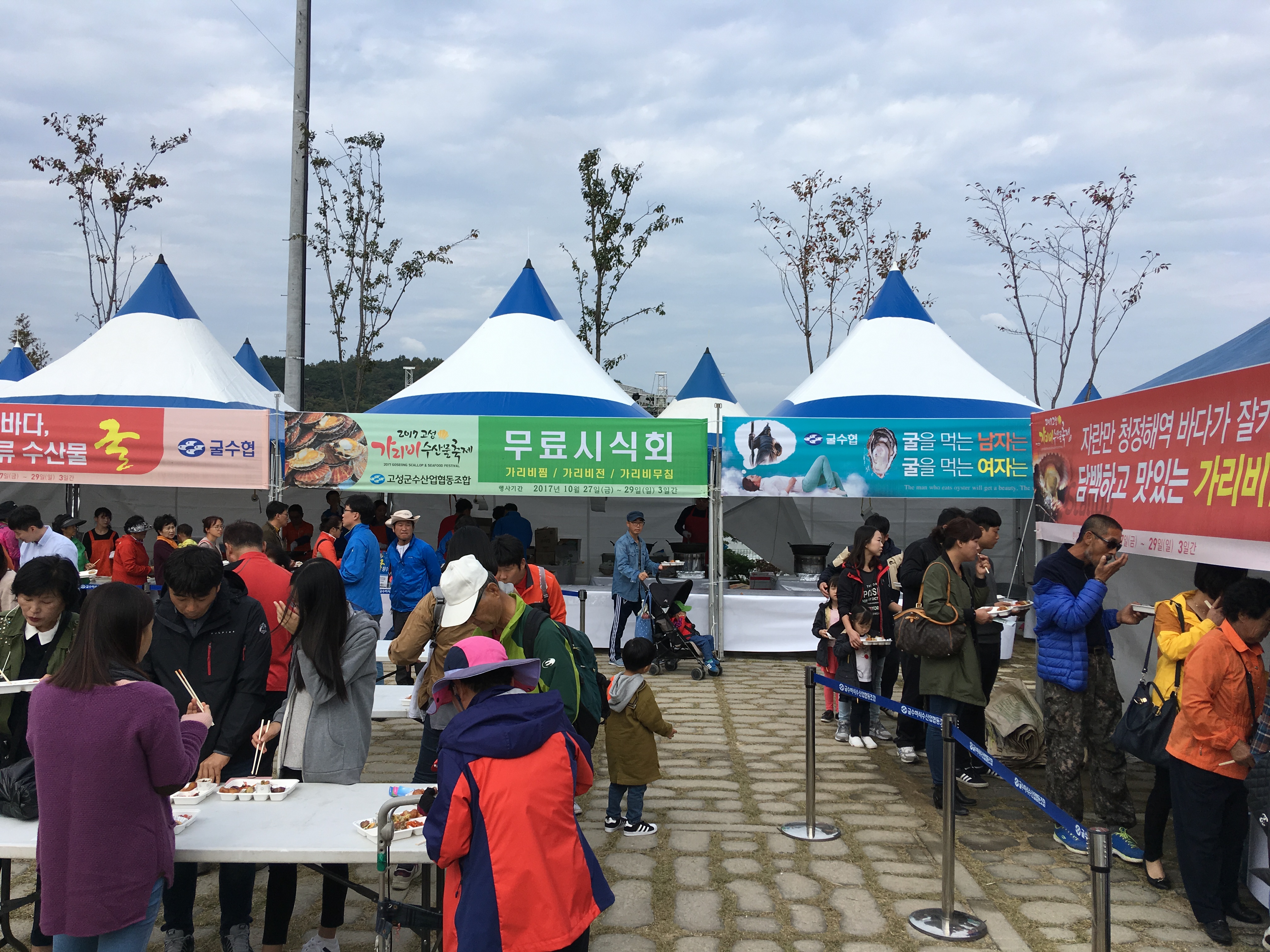 고성 가리비 수산물 축제 4