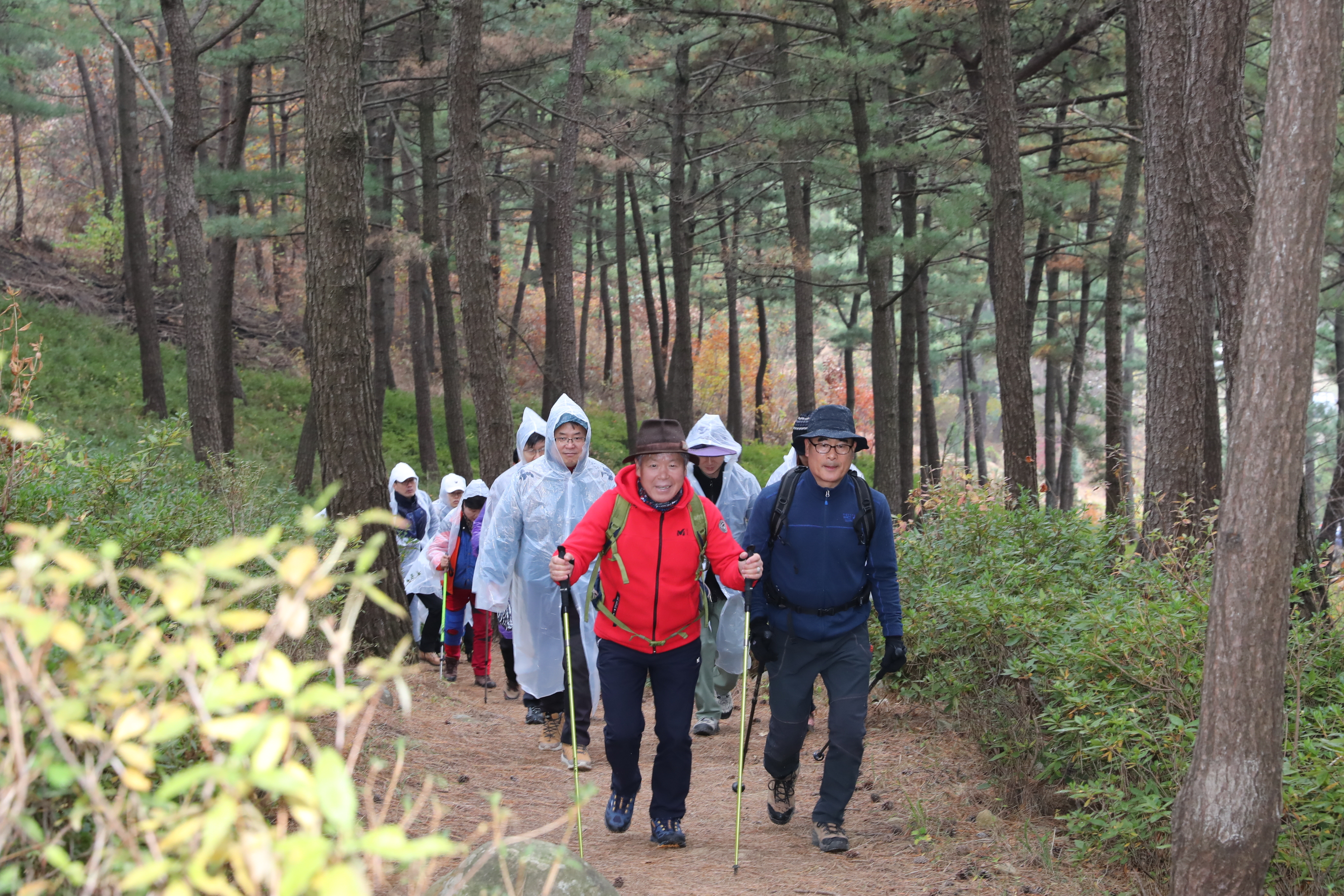 거류산 등산축제 관련자료