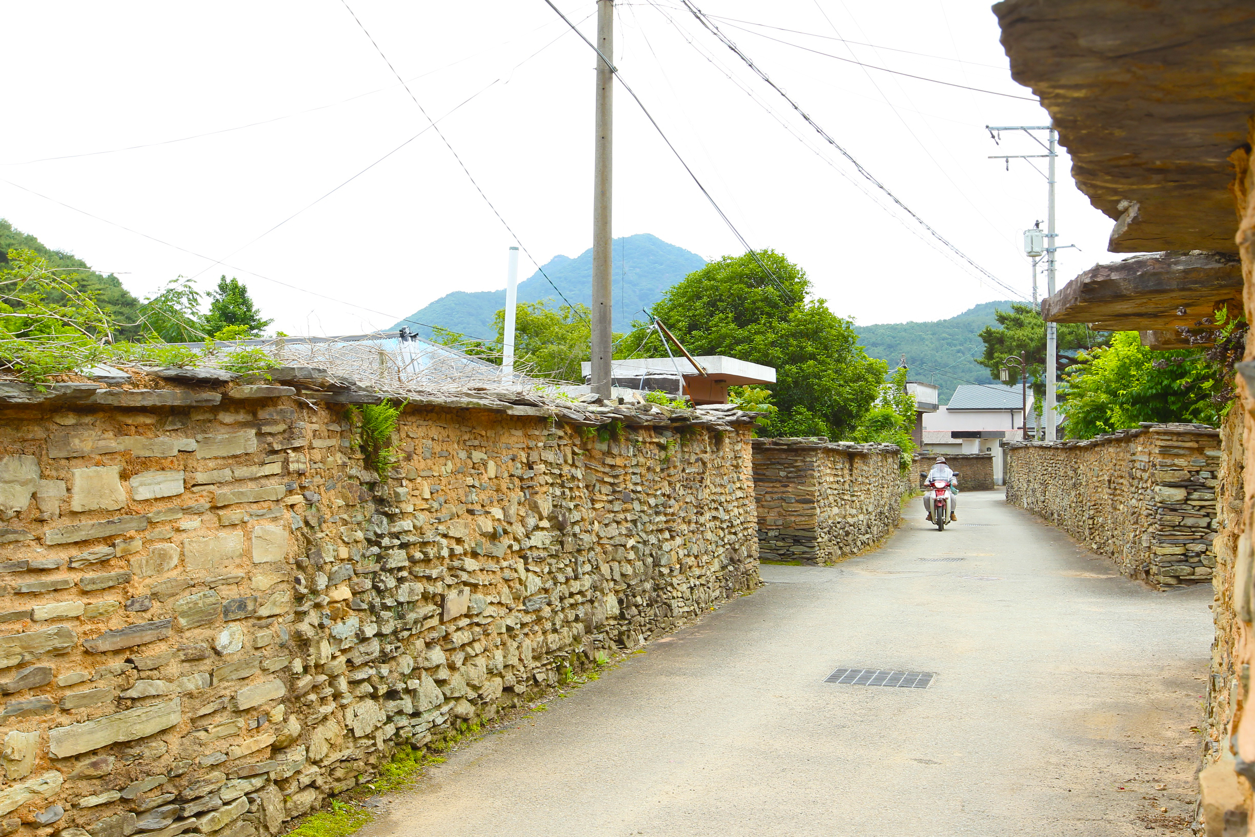 학동마을옛담장 관련자료