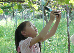 송천참다래 정보화마을 4