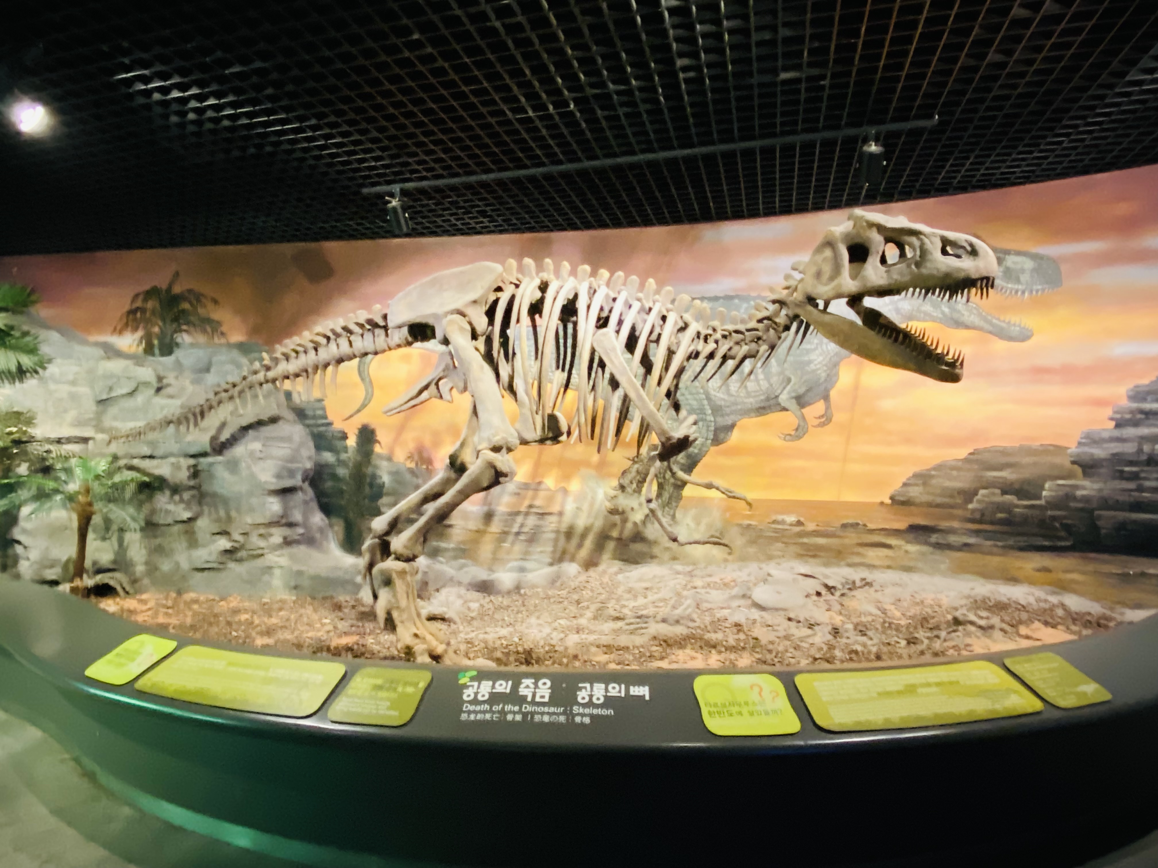 당항포관광지 한반도공룡발자국화석관(5D) 9