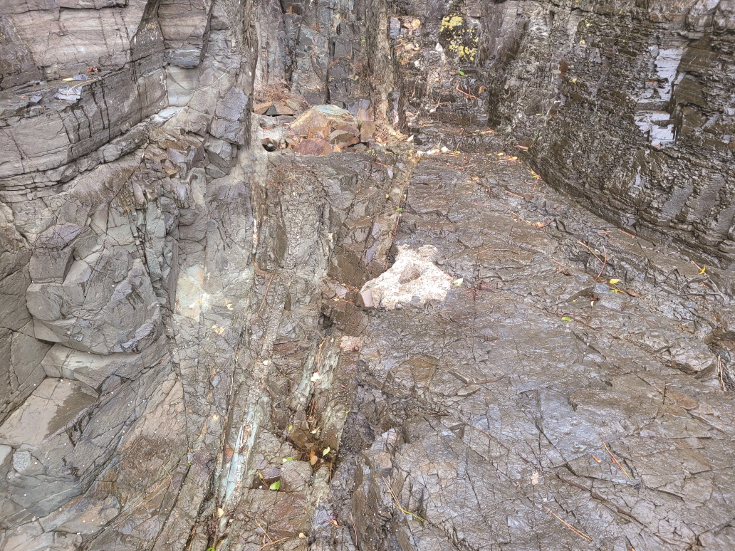 실바위 공룡‧새발자국 화석산지와 이중 관입구조 3