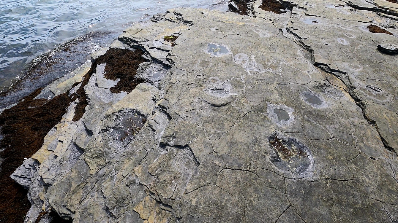 구학포 공룡발자국 화석산지 2