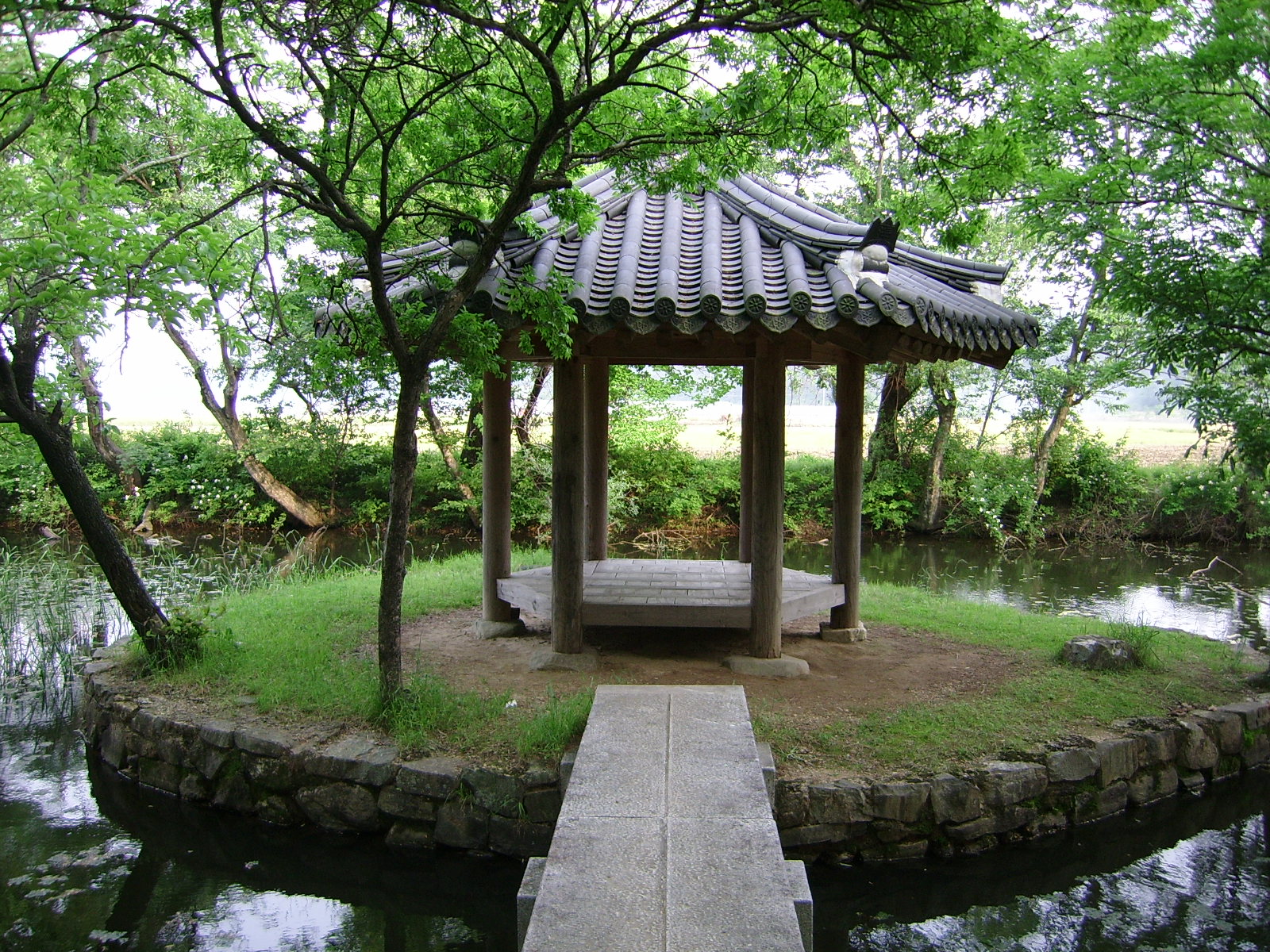 장산숲 11