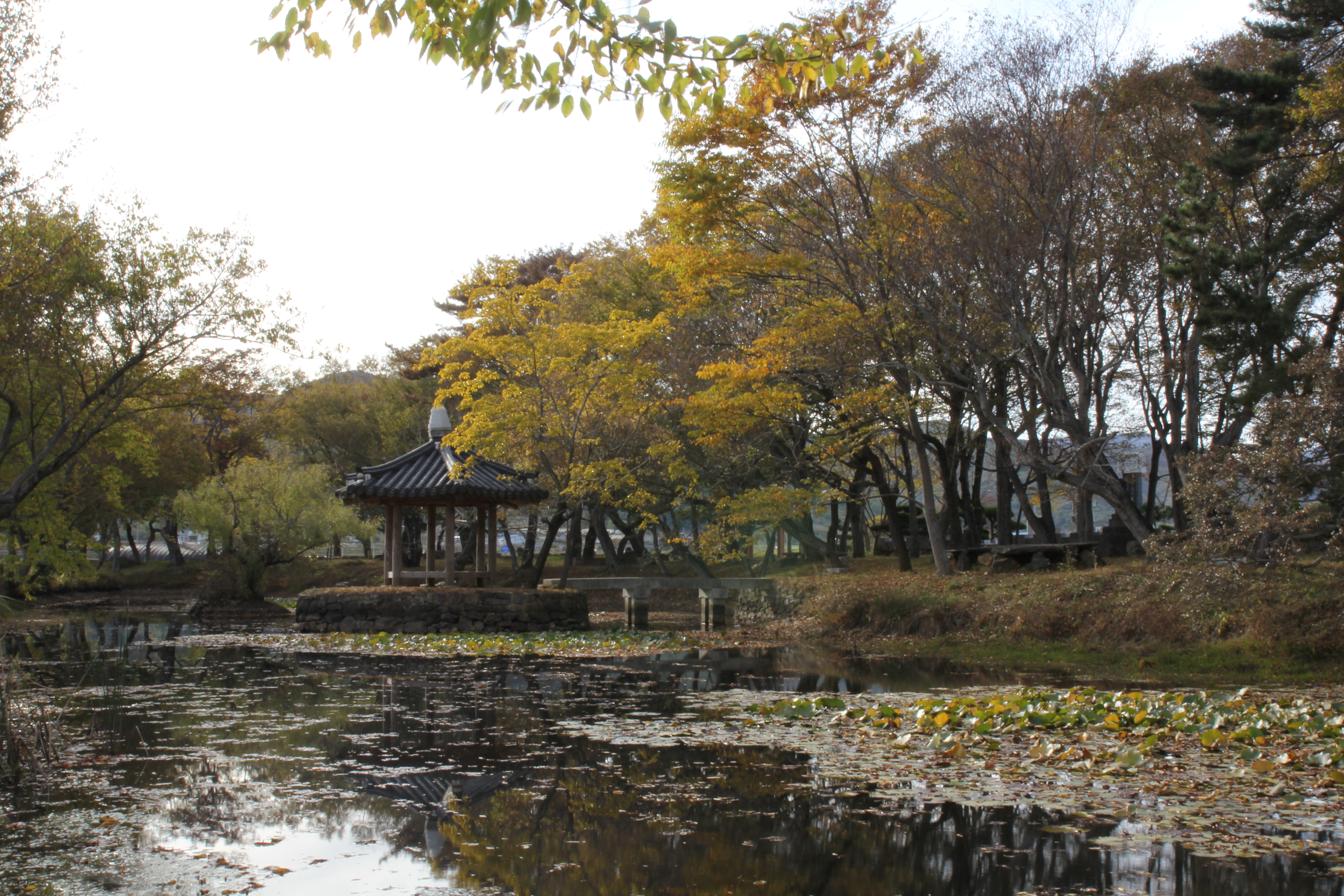 장산숲 12