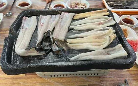 봄 관련자료