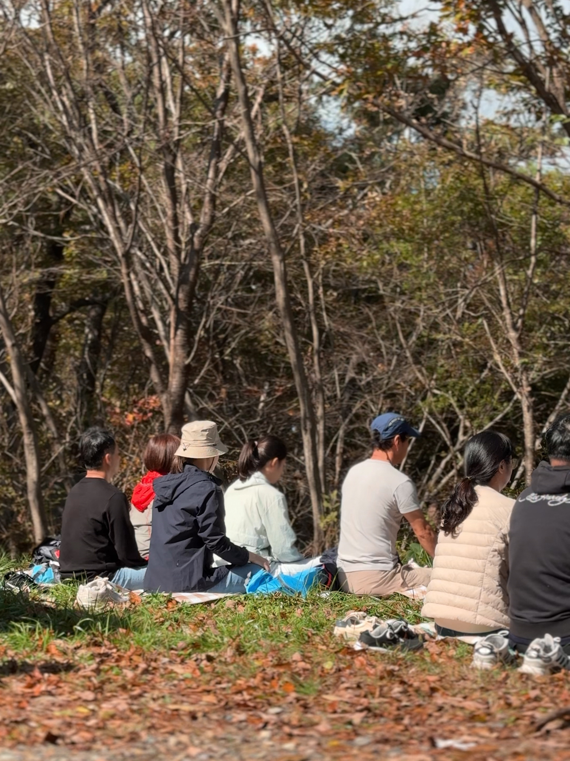 고성해양치유길 14