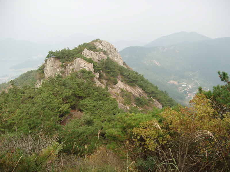 구절산