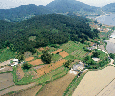 고성내산리고분군 1