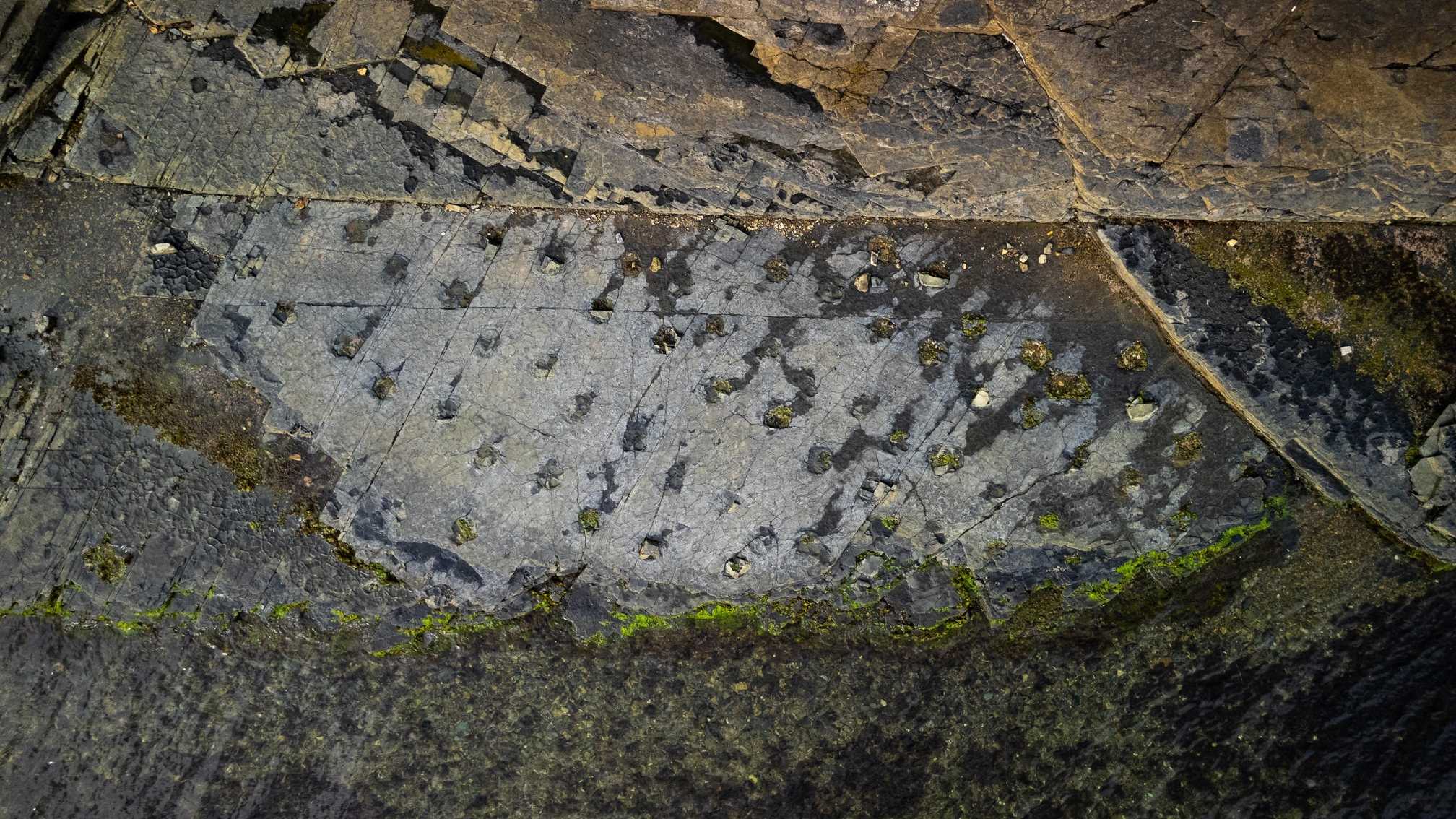 구학포화석산지_1