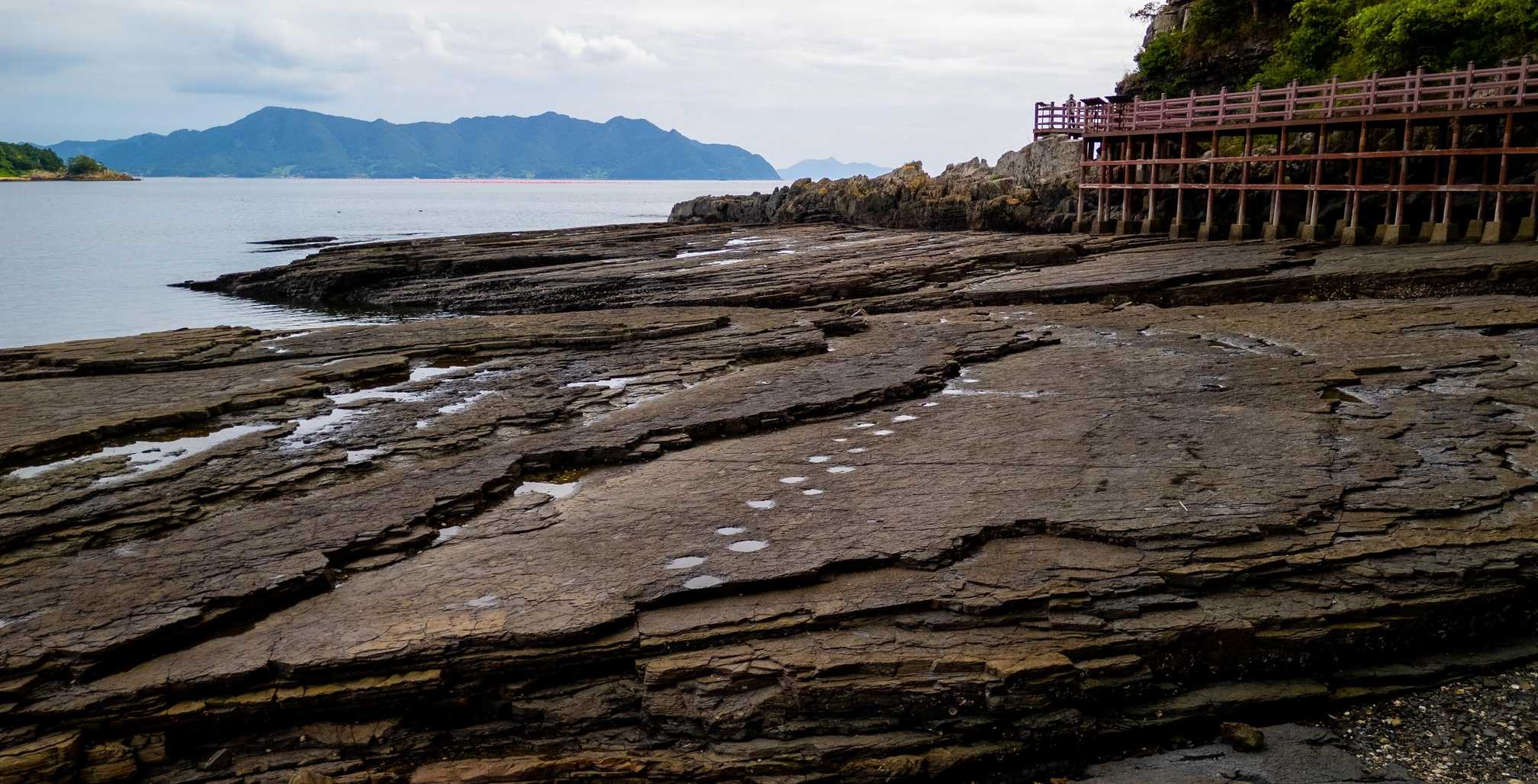 덕명리화석산지_4(발자국화석)