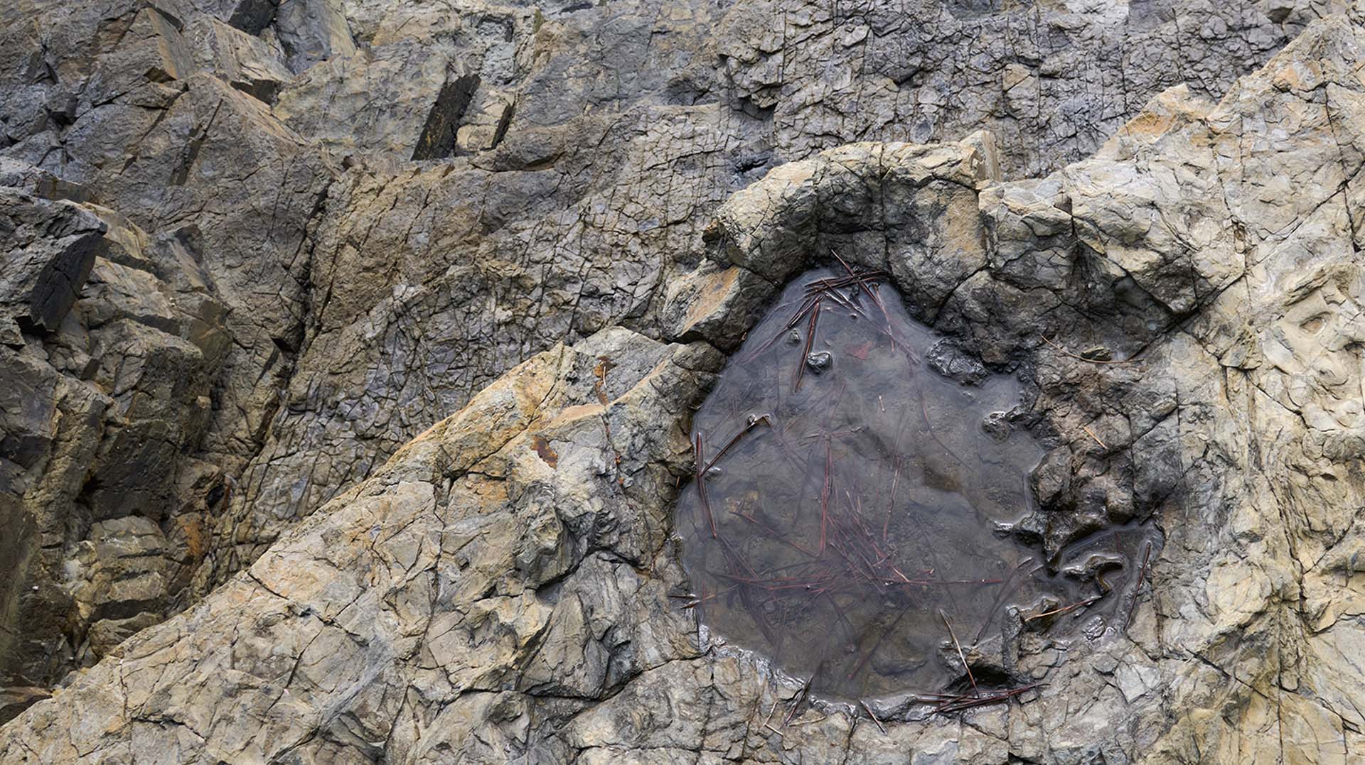 공룡발자국 사진