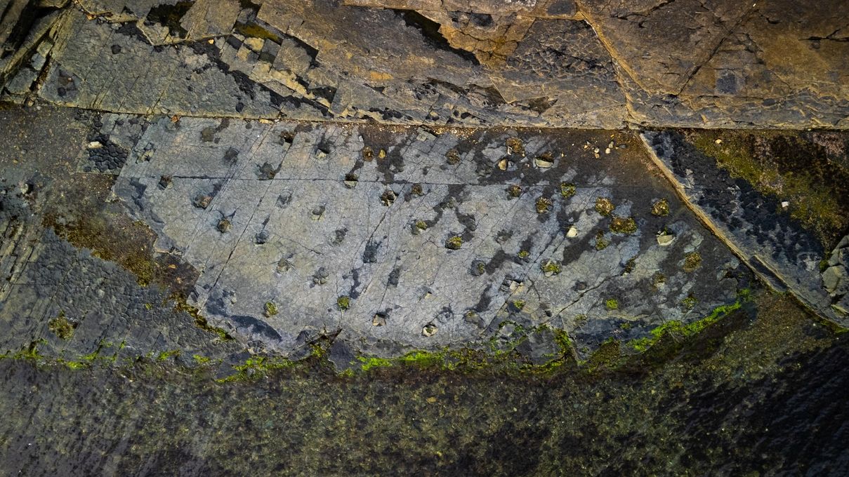구학포 공룡발자국 화석산지
