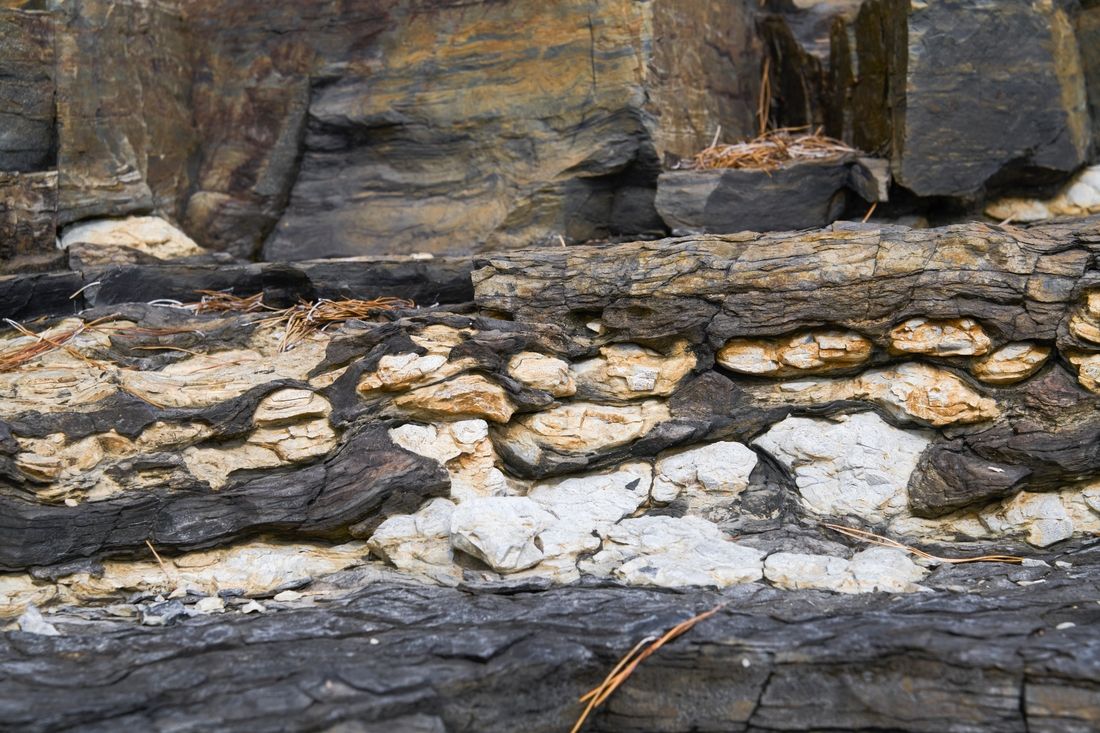 석회질 단괴와 타포니