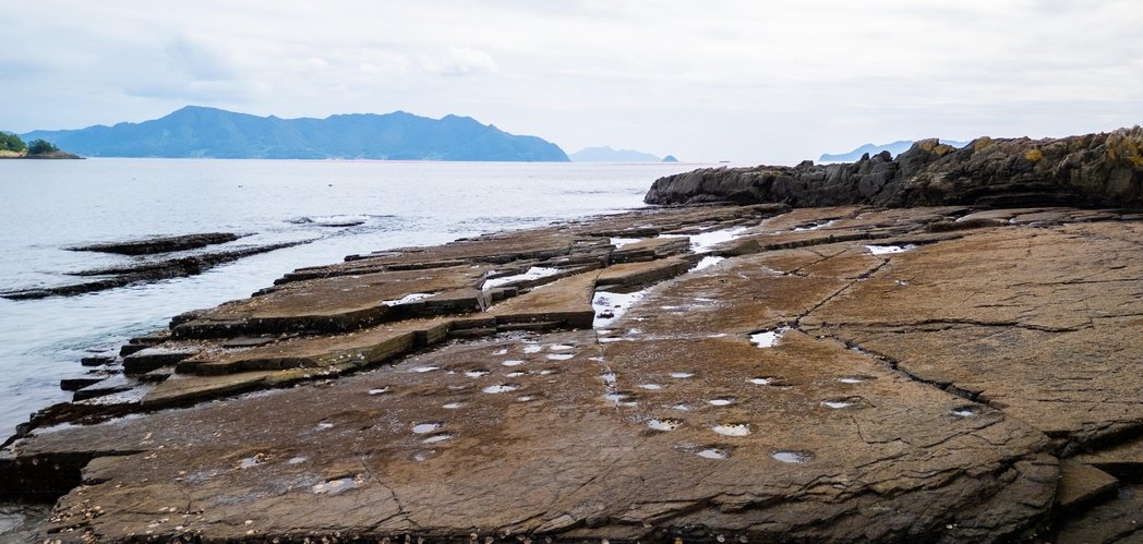 >덕명리 공룡발자국과 새발자국 화석산지