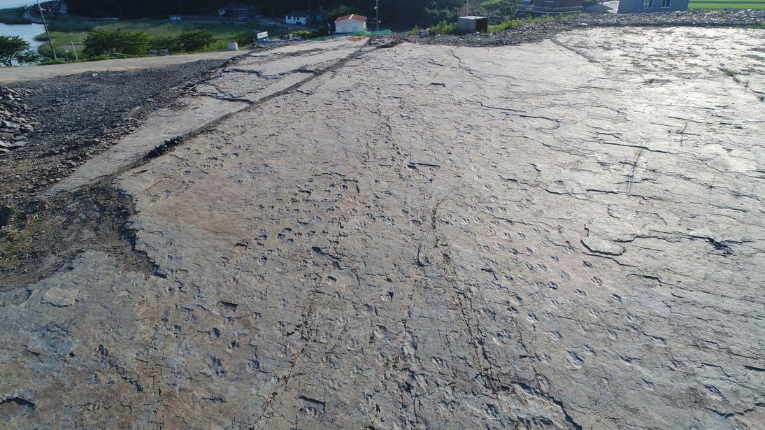 삼락리 공룡 및 새발자국 화석산지