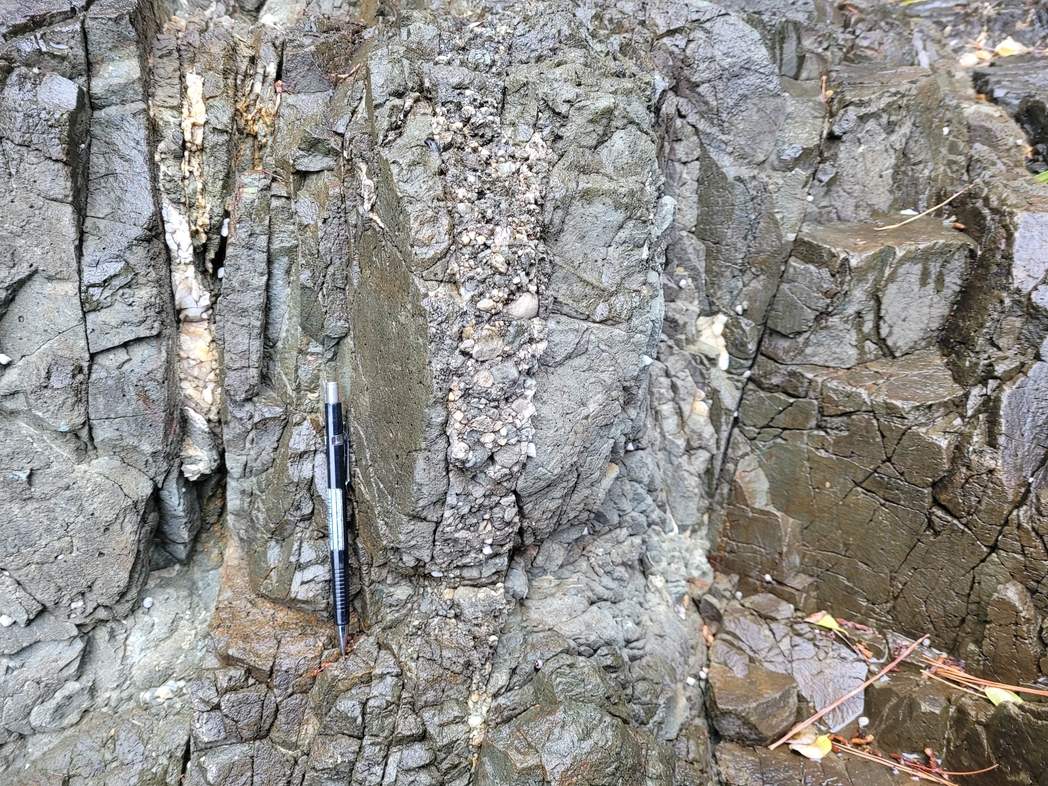 쇄설성 암맥 접사사진