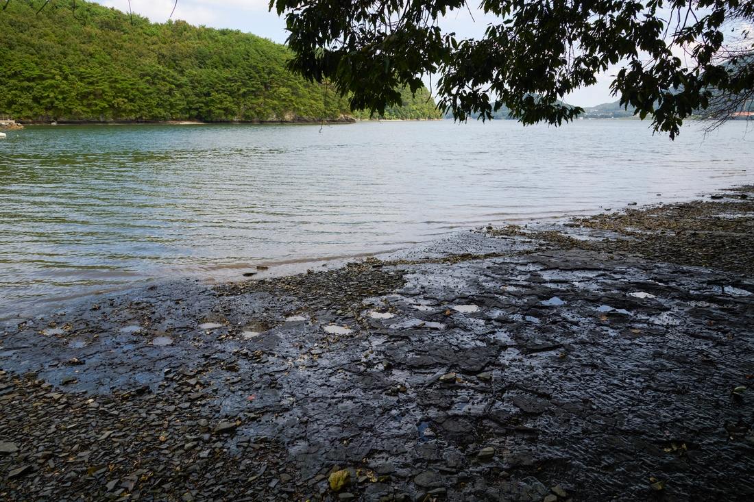어신리 공룡발자국 화석산지