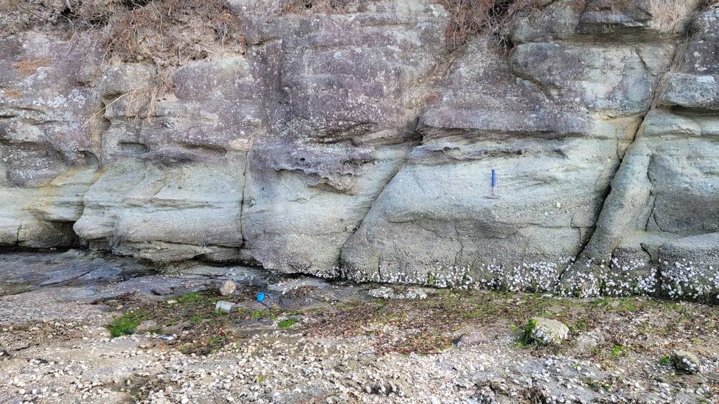 월평리 하천퇴적층 및 공룡알/거북알 화석산지