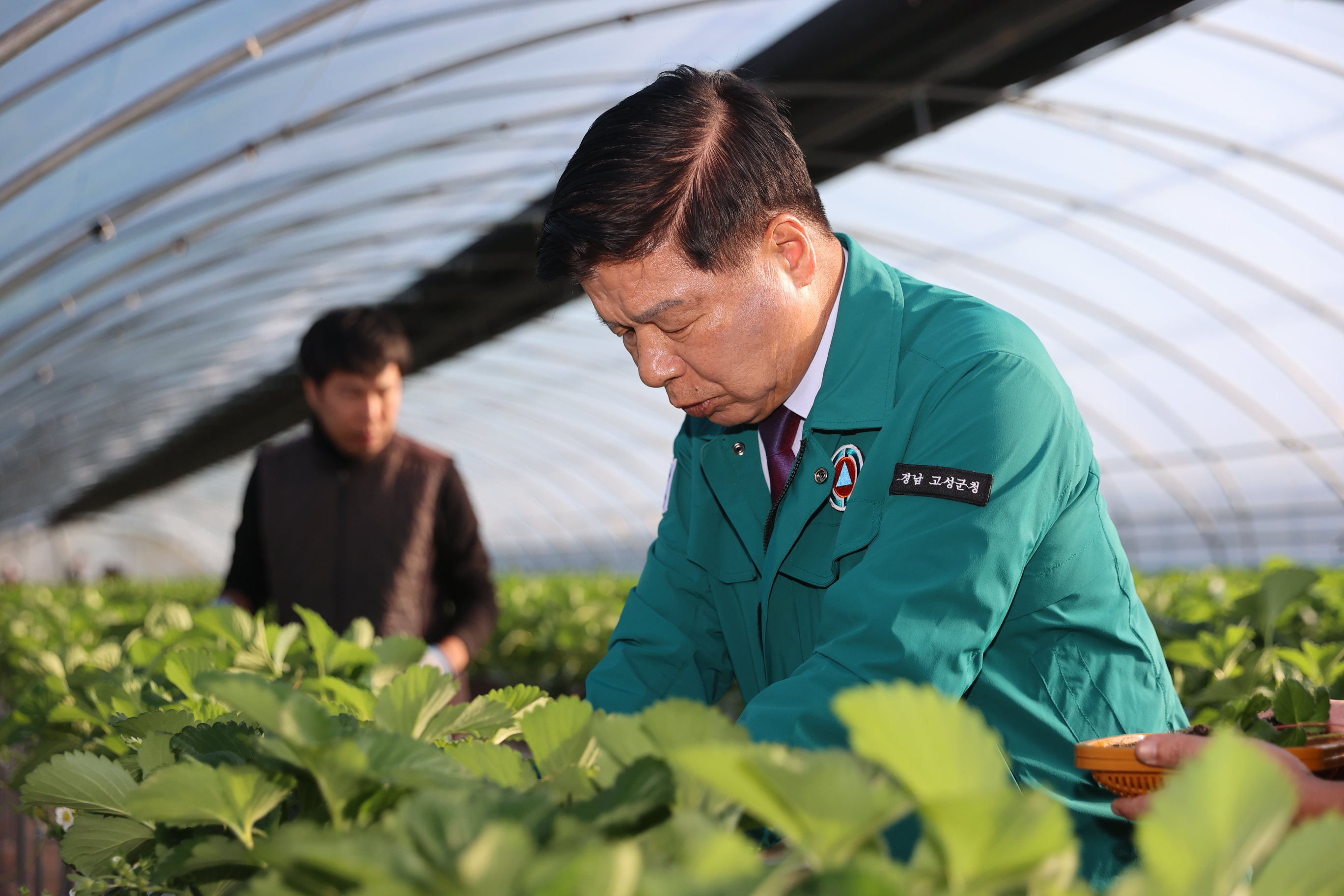 11월13일 농촌일손돕기 격려방문 관련자료