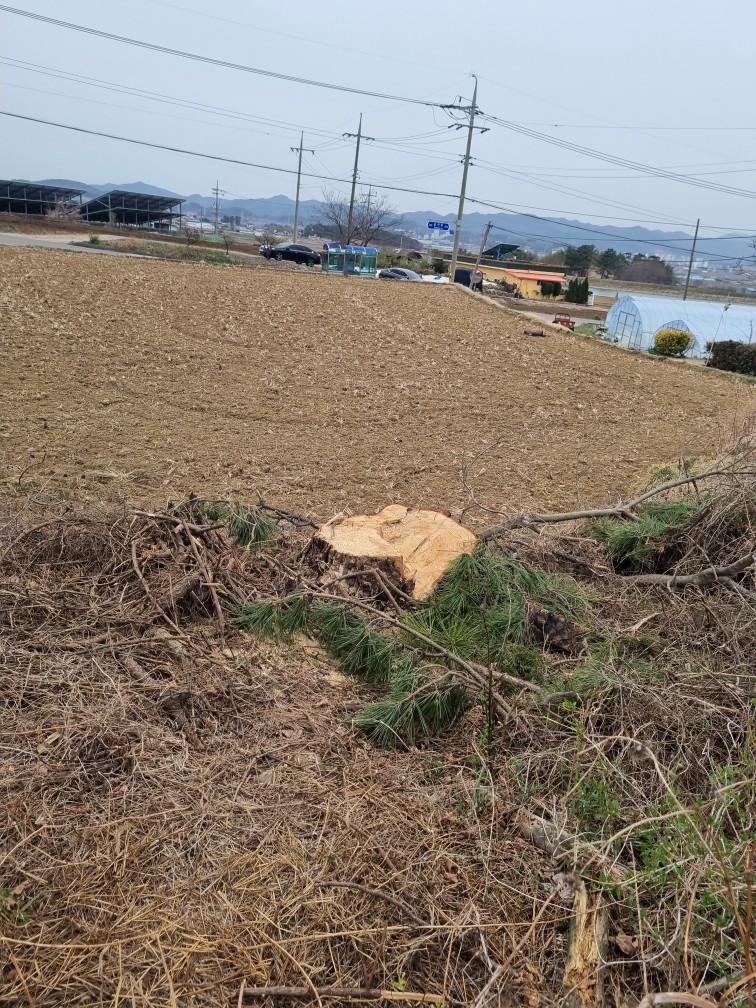 세상에 아직도 이런 행정을....