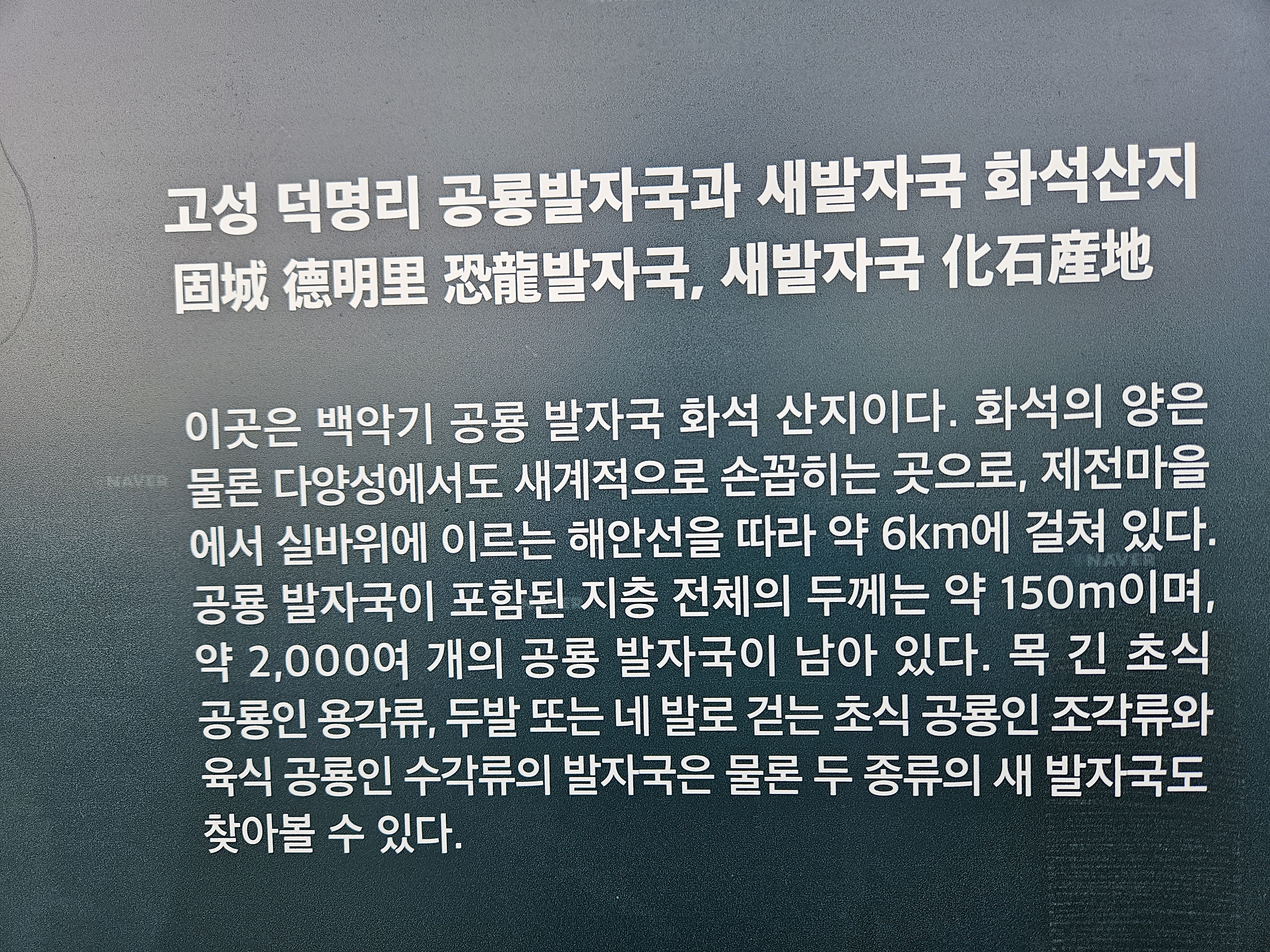 고성 덕명리 공룡발자국 안내 표지판 오기