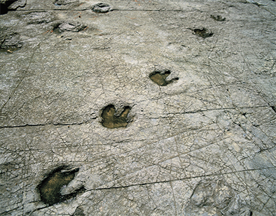 메인슬라이드 버튼 동작 4