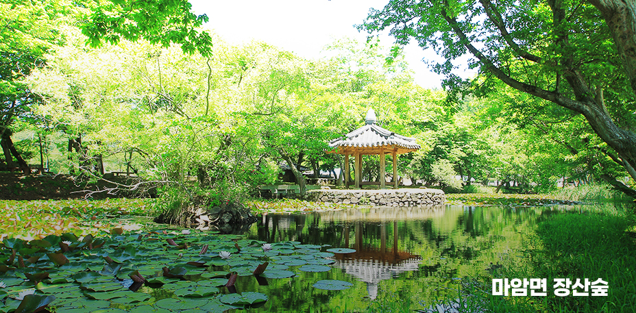 마암면 장산숲