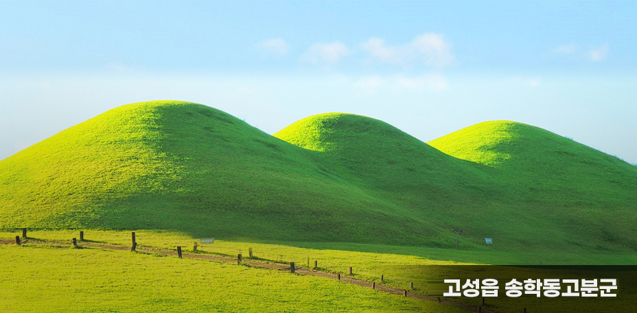 고성읍 송학동고분군