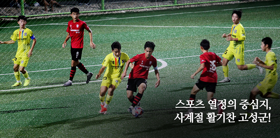 스포츠 열정의 중심지, 사계절 활기찬 고성군!